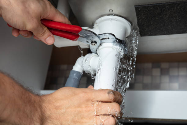 Best Carpet water damage restoration  in Burbank, IL