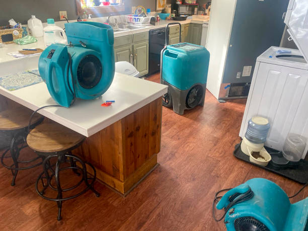 Best Emergency water damage restoration  in Burbank, IL