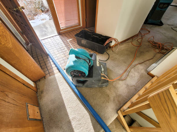 Best Water damage contractors near me  in Burbank, IL
