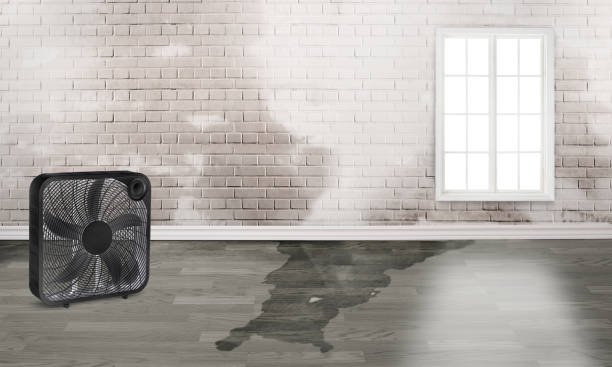 Carpet water damage restoration in IL