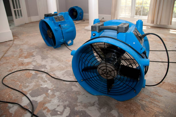 Best Flooded house restoration  in Burbank, IL