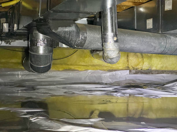 Best Water damage contractors near me  in Burbank, IL