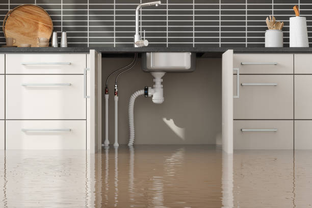Best Fire Damage Restoration  in Burbank, IL
