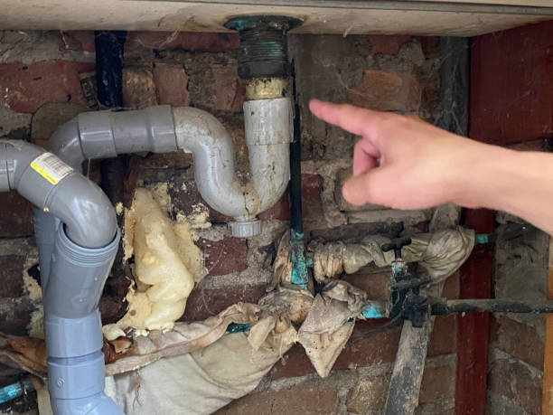Best Commercial water damage restoration  in Burbank, IL