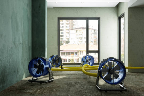 Best 24/7 water damage repair  in Burbank, IL