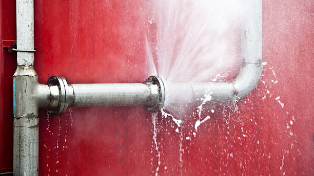 Best Sewage cleanup and water damage restoration  in Burbank, IL